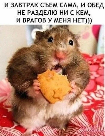 522ab63c4afb1d47cee65a4b95847d9b[1].webp