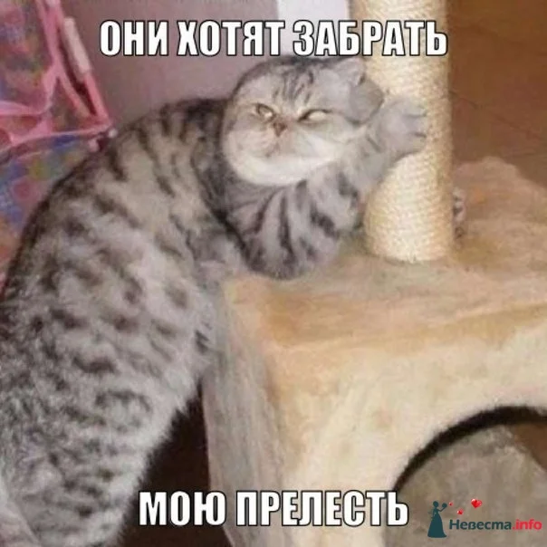 524600x.webp