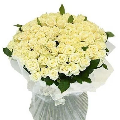 531.webp