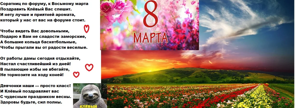 5310.webp
