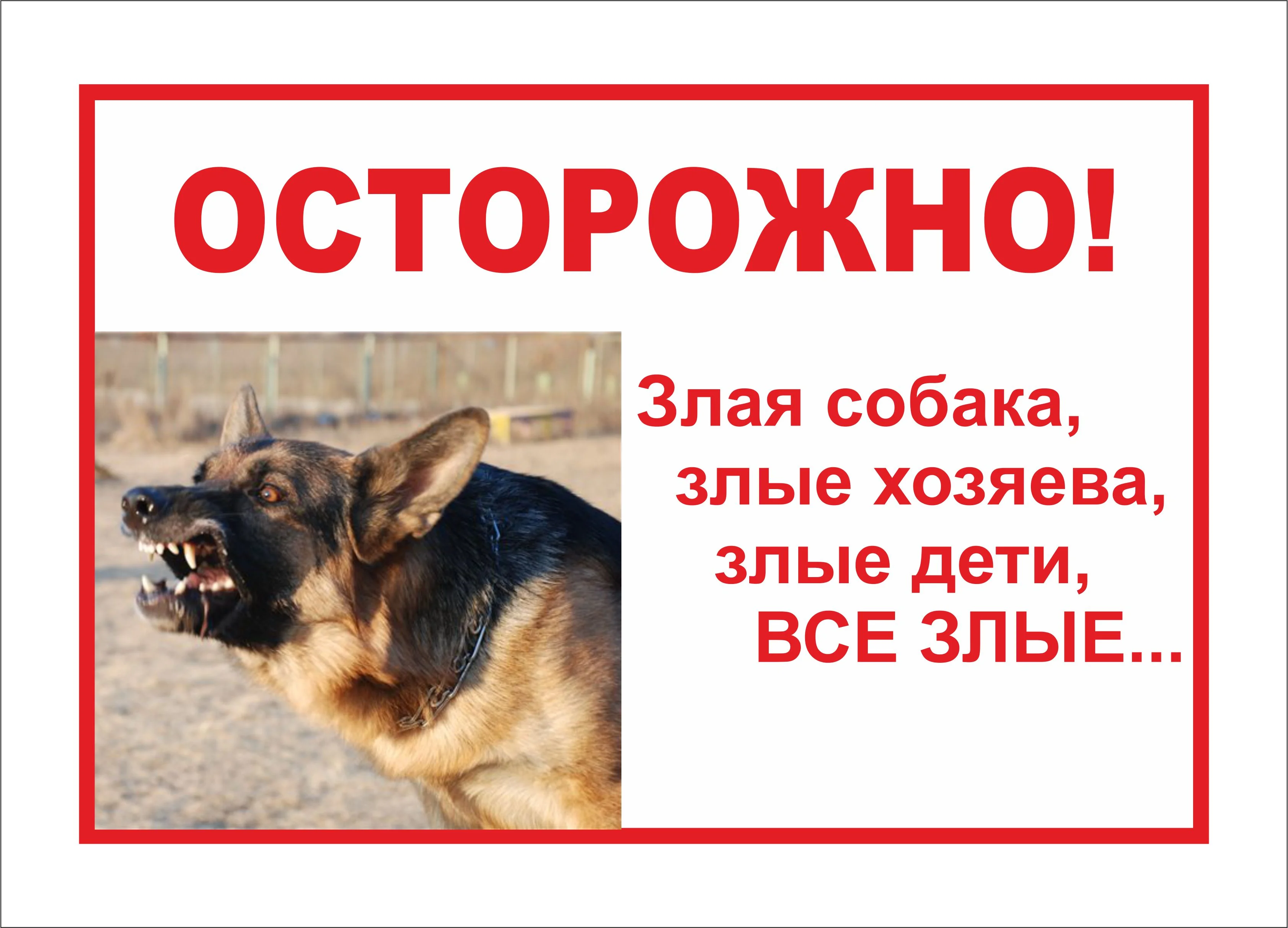 5312315.webp