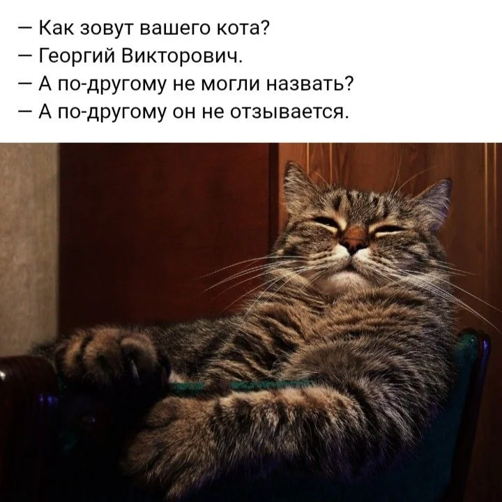 532197961ca599335e4ebfe462fe0b4d[1].webp