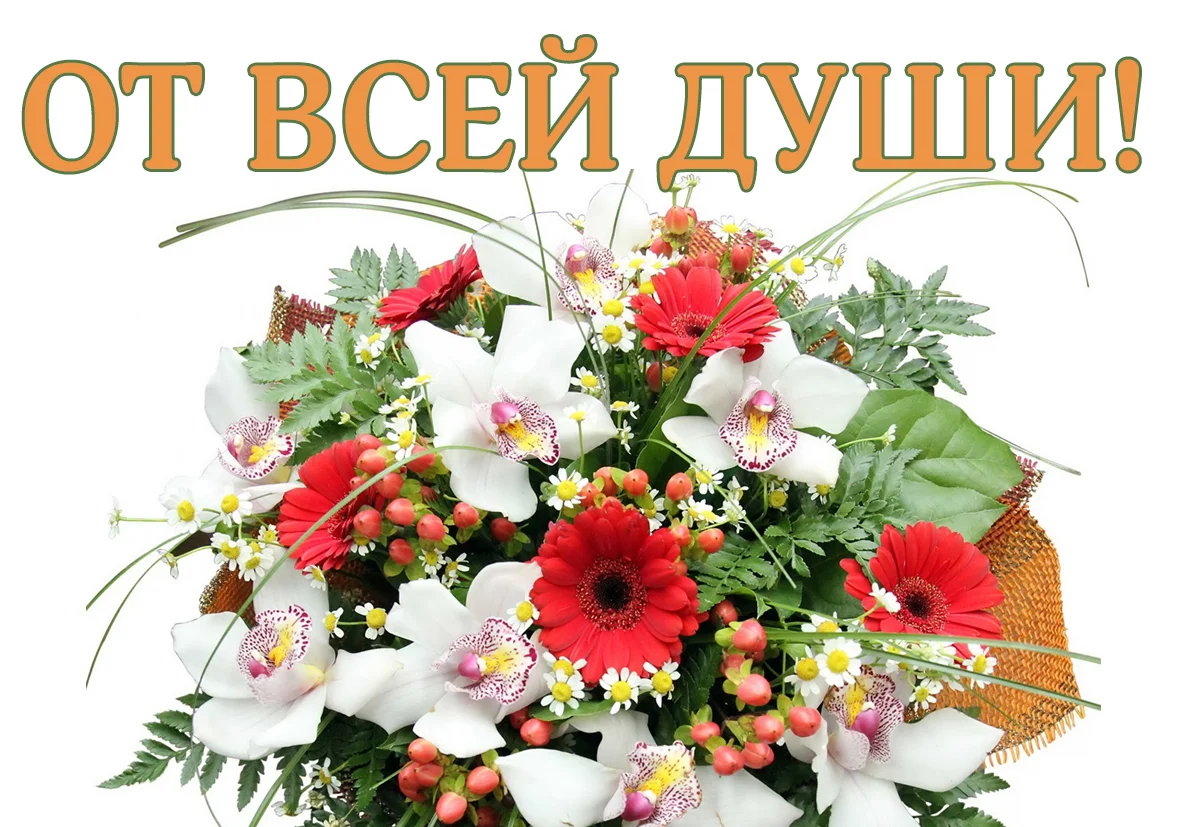 5333c4f650cb63.17841773.webp