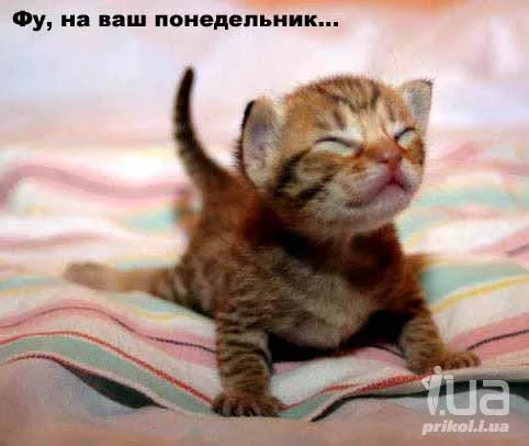 534146.webp