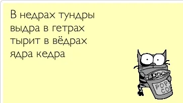 5370628_original.webp