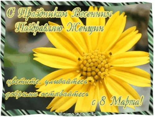 53753856.webp