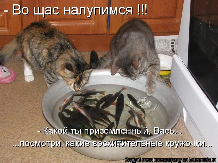 545106.webp