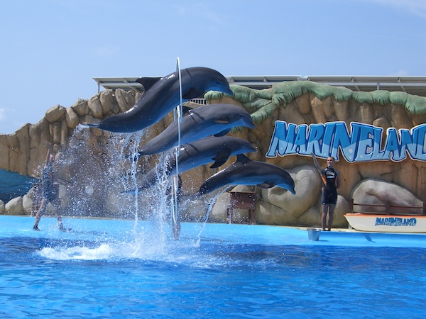 5483-marineland-mallorca.jpg