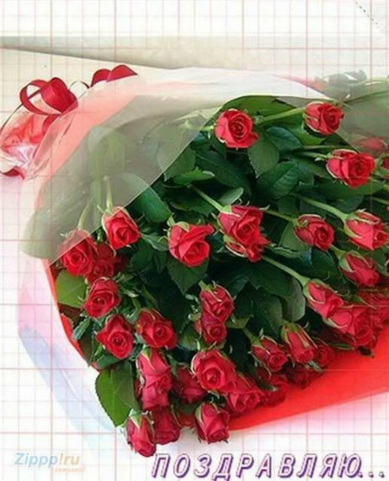 54846c32dfce.webp