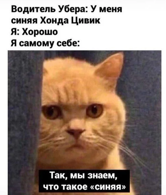 549954dcfd00ca52e2b66c60e5aa958a (1).webp