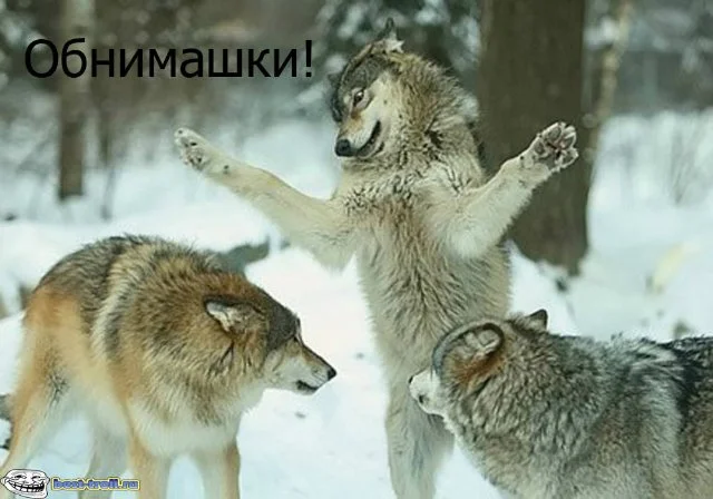 54a1de1d777e.webp
