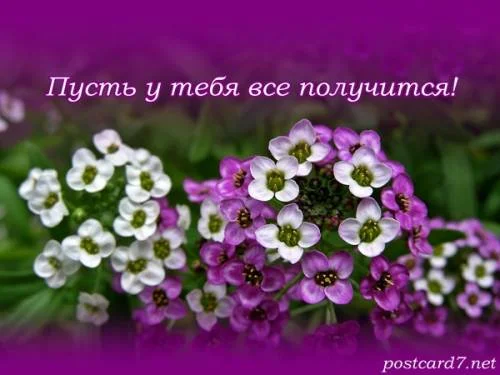 550409923.webp