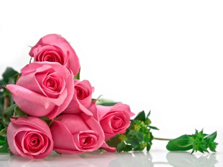 551005.webp