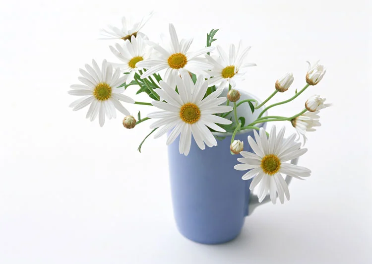 5511030.webp
