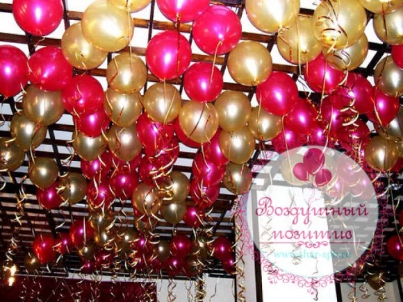 5545_0.webp