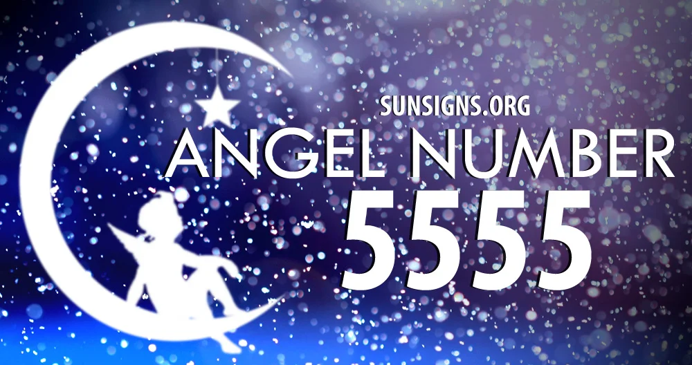 55555.webp