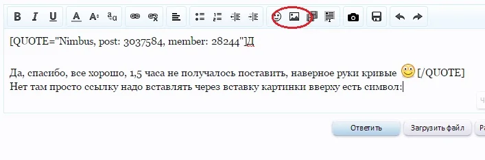 55555.webp