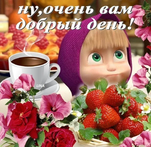 5558655.webp