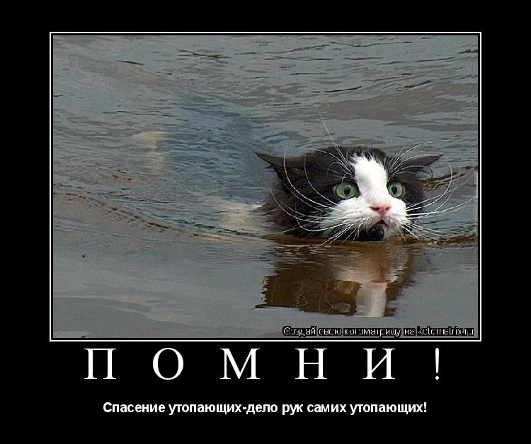 5564f07510d4c5f1c67b2128cc4 (1).webp