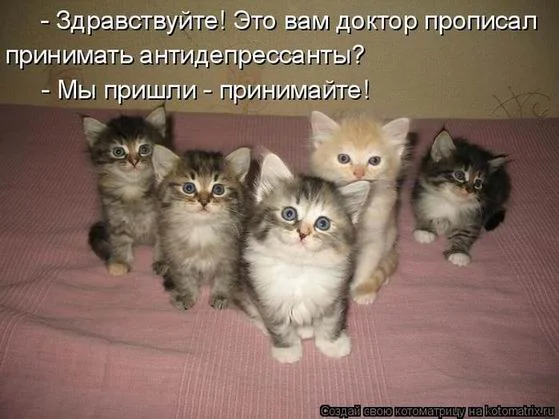 5573d43a8d44.webp