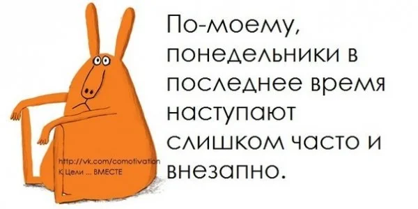 558621_600.webp