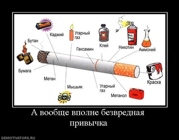 559ebe8caff01.webp