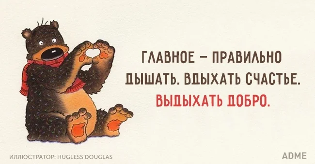 5669910-650-1452587357-2 (1).webp