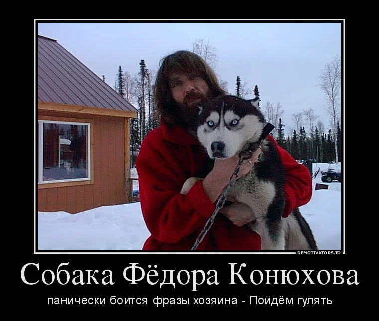 56883222_sobaka-fyodora-konyuhova-panicheski-boitsya-frazyi-hozyaina-pojdyom-gulyat.webp