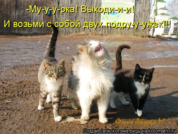 56959151_km_1_50.webp