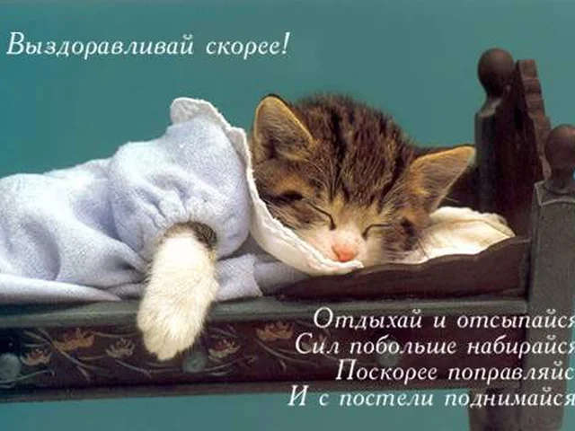 569e935678426.webp
