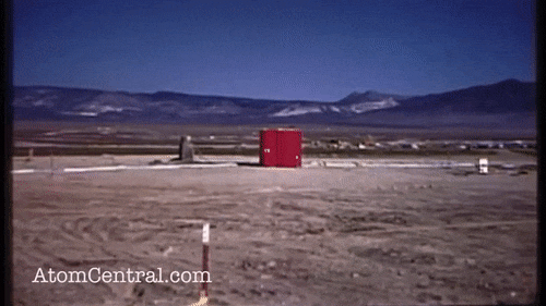 56f7b756c35db.gif