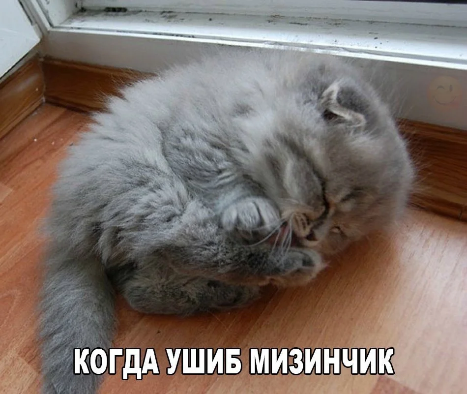 57109279.webp
