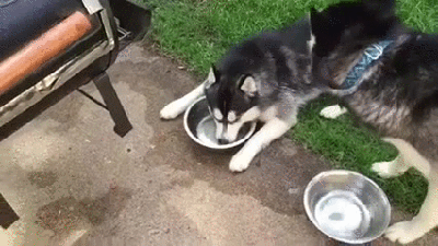 575334733d52e.gif
