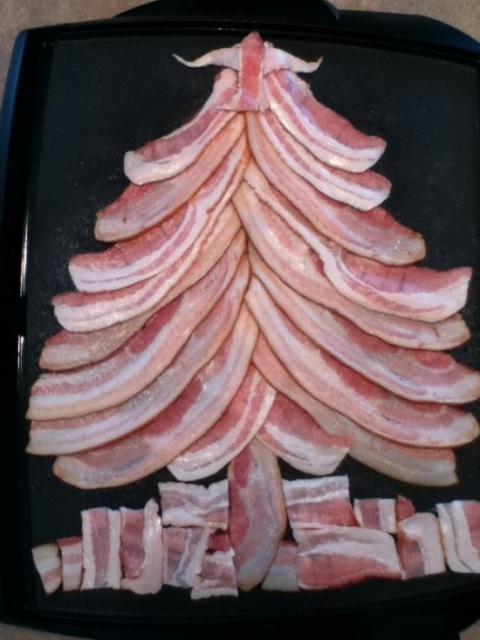 5756405-R3L8T8D-550-o-bacon-tree-o-bacon-tree-28649-1293301264-24_0.jpg