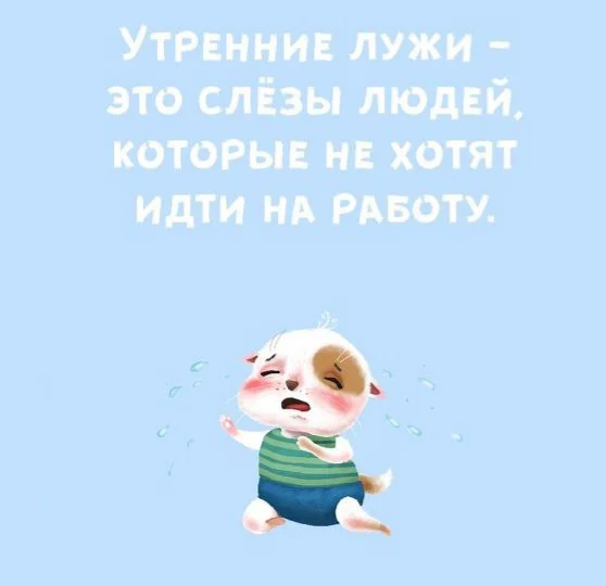 57_otkrytka.webp
