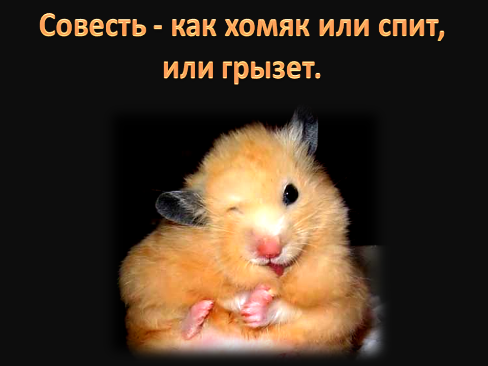 57b32d4cbd0470ca618b458c.png