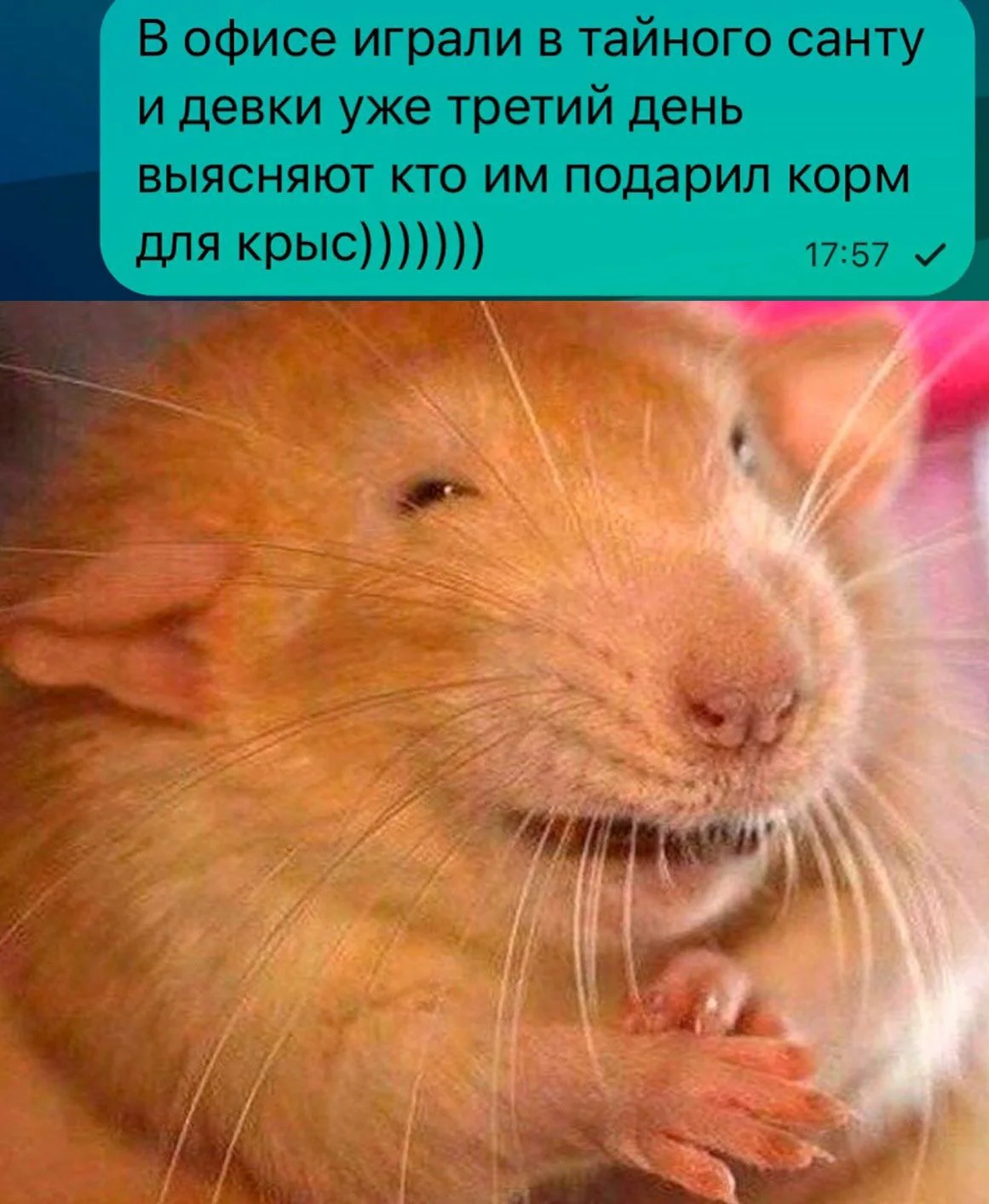 5849d17db574d298d56ce16464c4edd3[1].webp