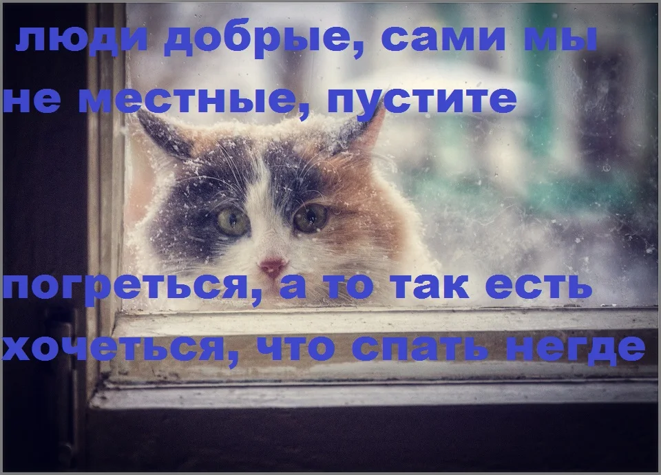 5871391_large.webp
