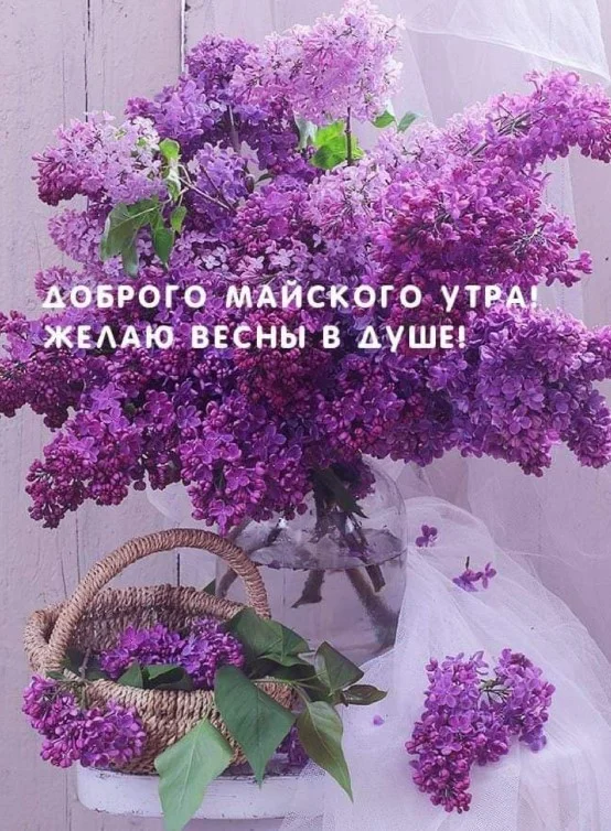58814-dobrogo-mayskogo-utra-zhelayu-vesny-v-dushe.webp