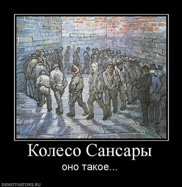 5896.webp