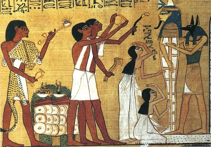 58c68c2d231f307f975d0e9cfd2eb25d_w960_h2048.webp 58c68c2d231f307f975d0e9cfd2eb25d_w960_h2048.webp