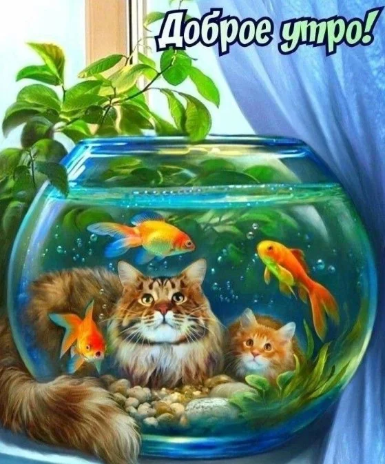 59099-kot-khochet-skushat-rybku-no-utro-vse-ravno-budet-dobrym.webp