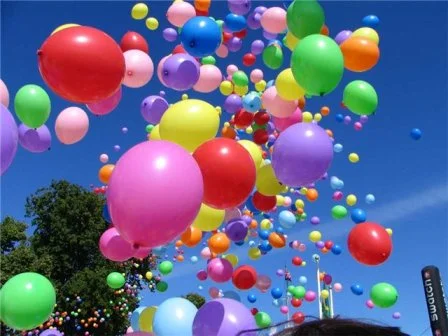 59220449_49080582_ce159a209d17.webp