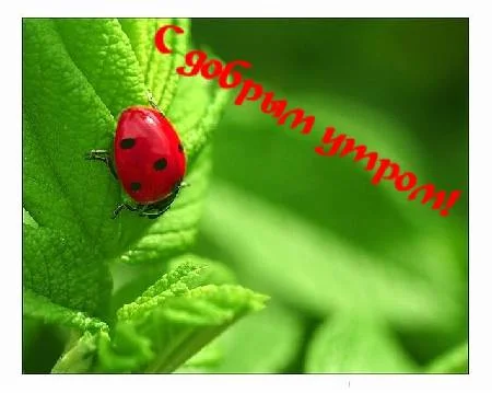 596905859187245312.webp