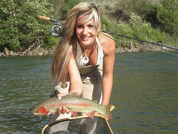 5_lady_trout.webp