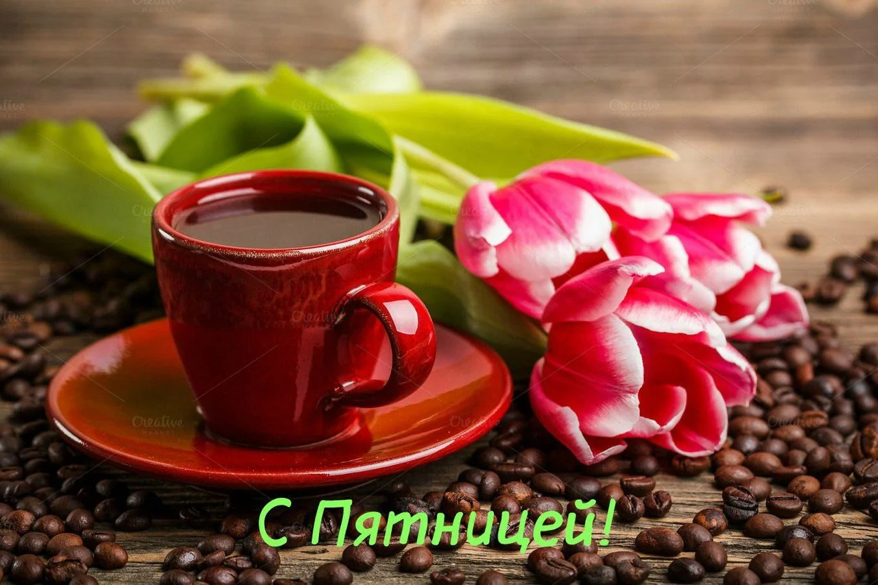 5a06um1sun25mu1o55buusso7o893bdl (1).webp