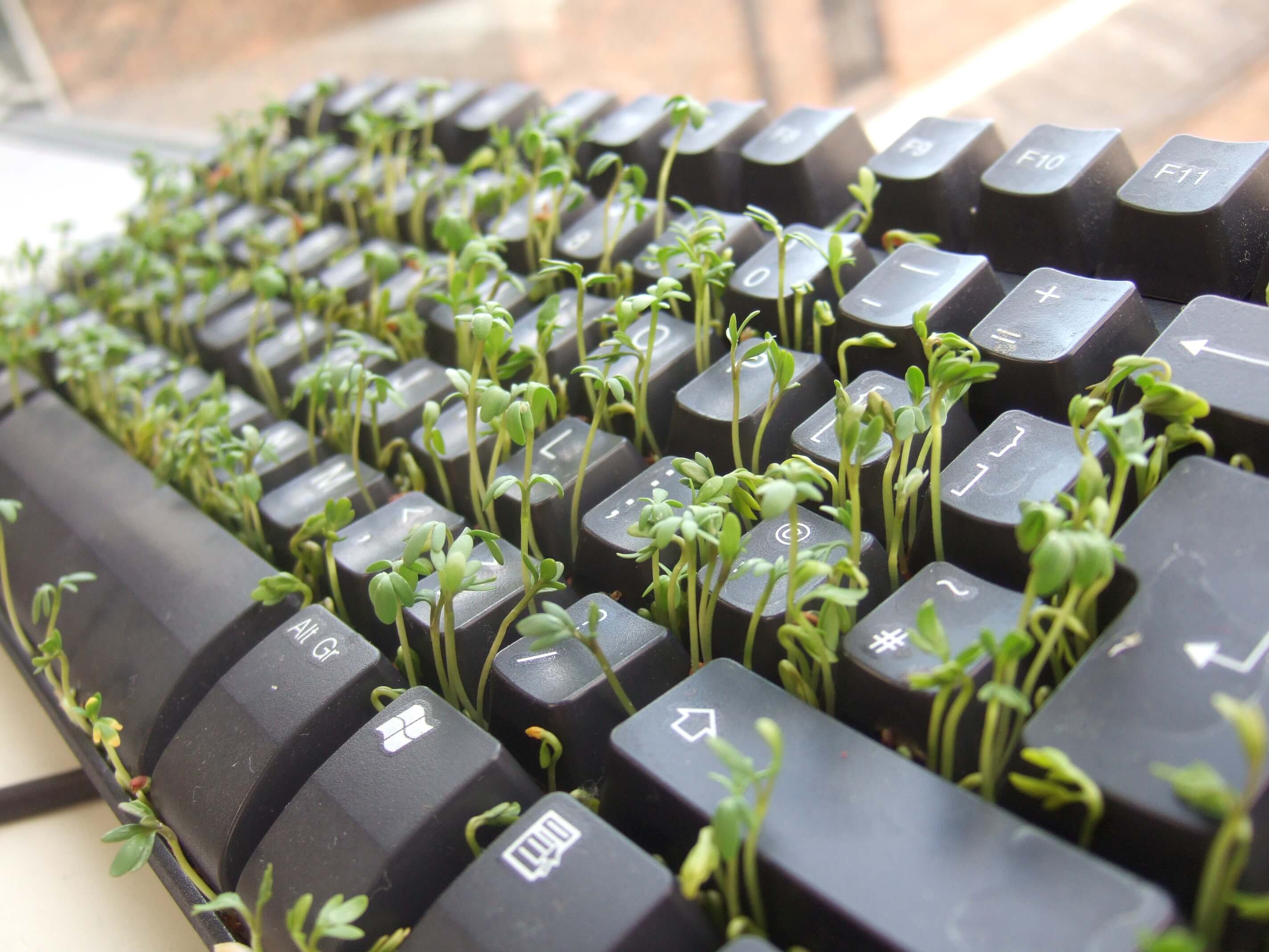 5a85677614608-cress-keyboard.jpg