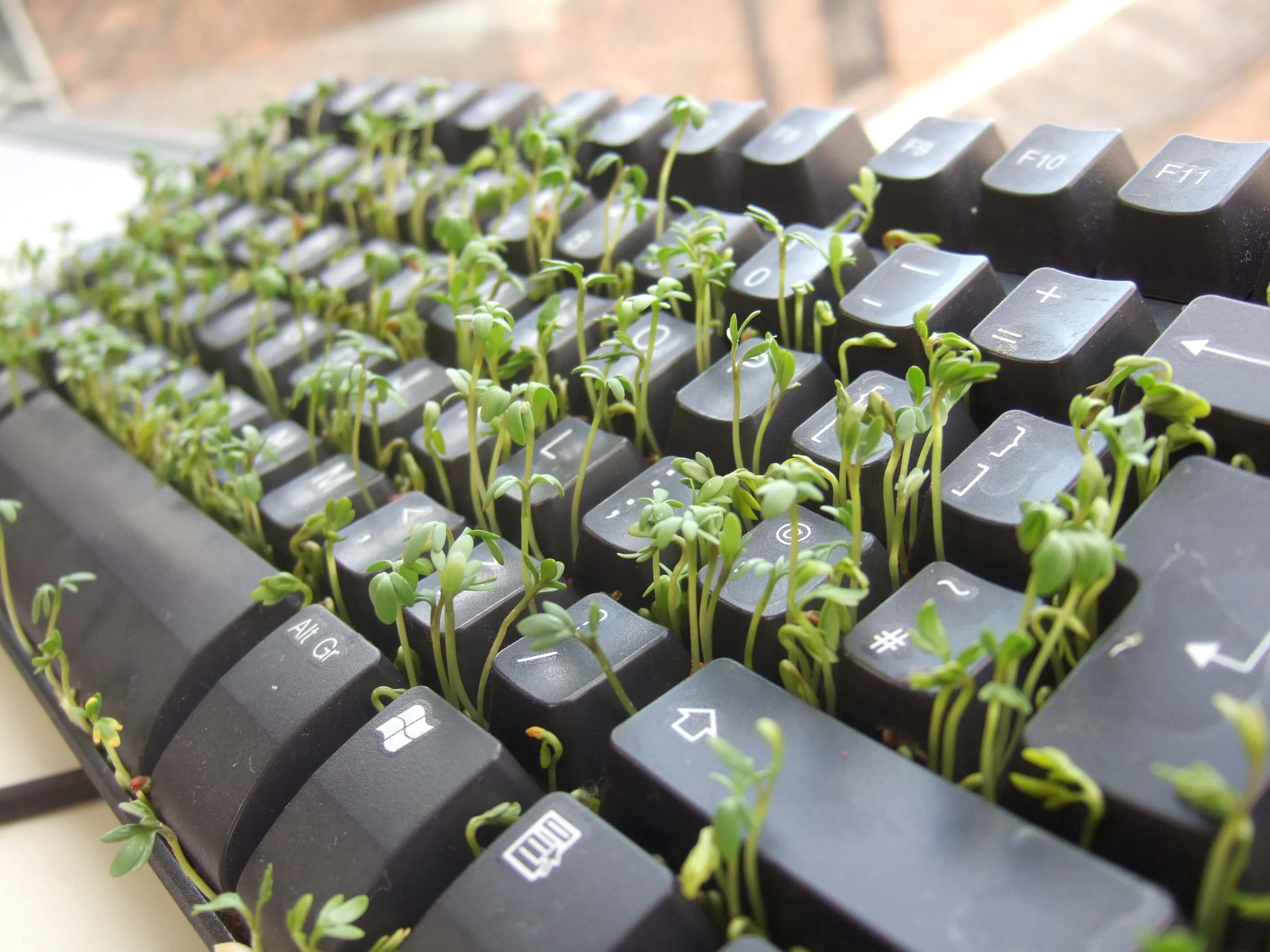 5a85677614608-cress-keyboard.webp