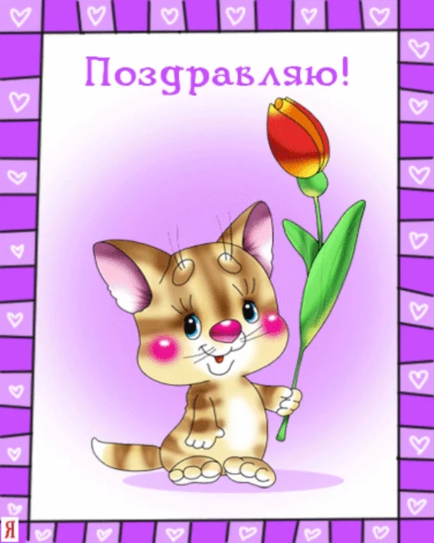 5ac5692c4507ba516e51730fd0afc55a.webp