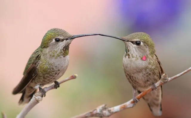 5b54aba07d22.webp